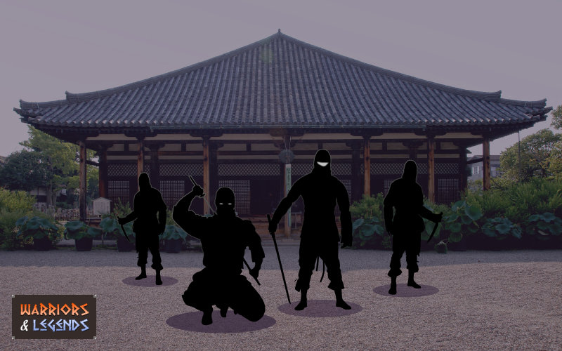 Ninja Warrior Roles 1